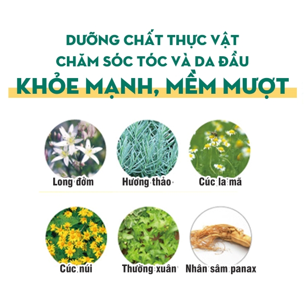 Kem-u-nhuom-phu-bac-Rishiri-(3).jpg